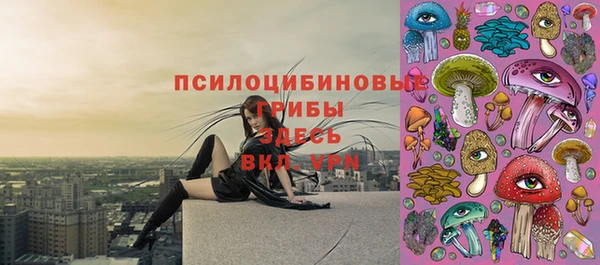 мяу мяу мука Осинники