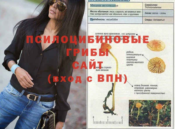 дурь Осташков