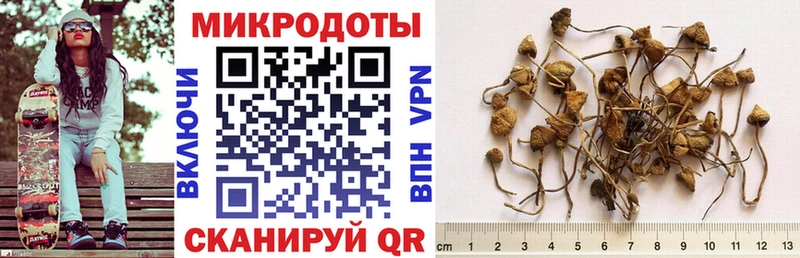 Галлюциногенные грибы Psilocybe купить наркотик shop состав Ипатово
