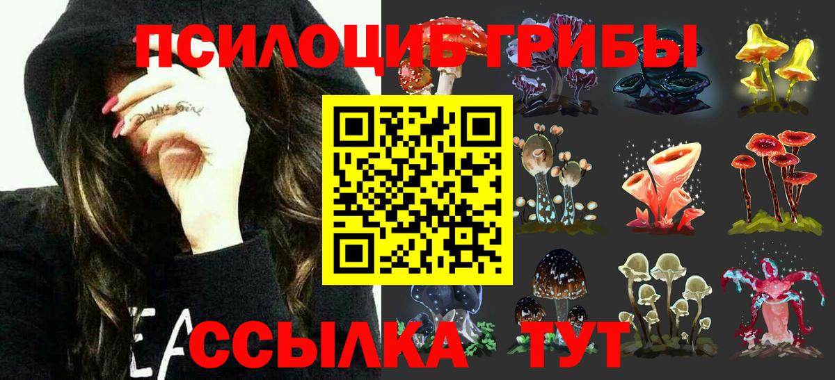 Галлюциногенные грибы GOLDEN TEACHER  Вход с VPN  Ипатово  Галлюциногенные грибы GOLDEN TEACHER 