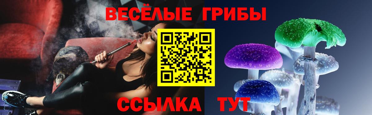 Псилоцибиновые грибы Psilocybine cubensis  Ипатово  Псилоцибиновые грибы Magic Shrooms 